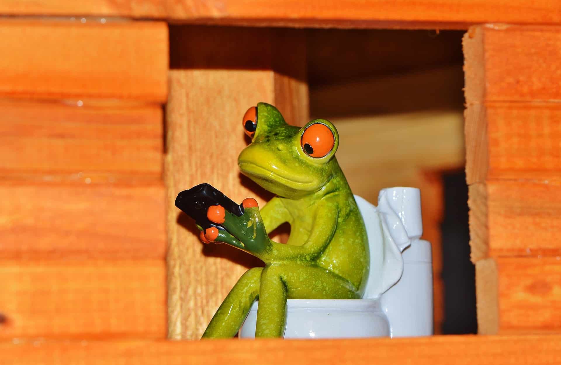 grenouille sur toilette