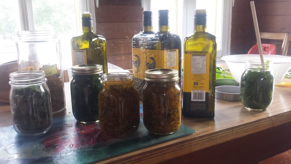 huile d'olive et macérations