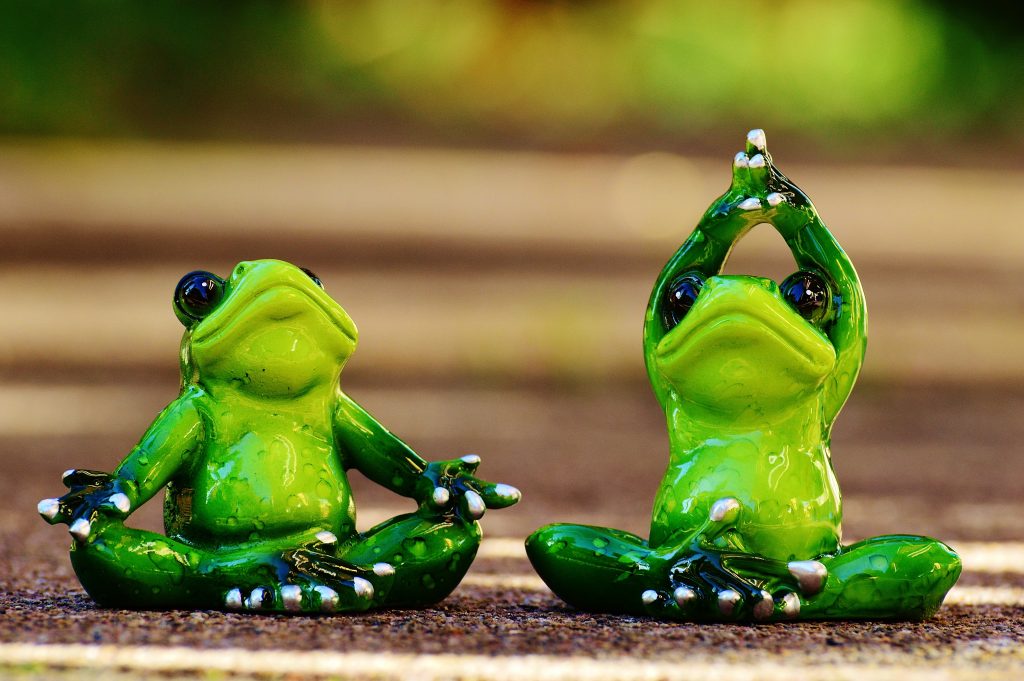 grenouilles-yoga