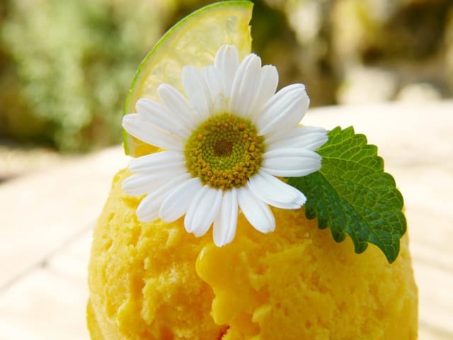 sorbet alimentation